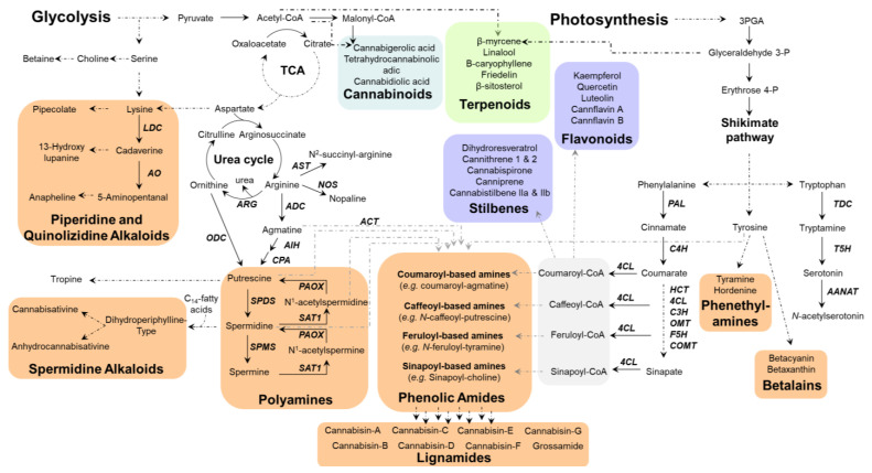 PMC12073235 – plants-14-01372-f001