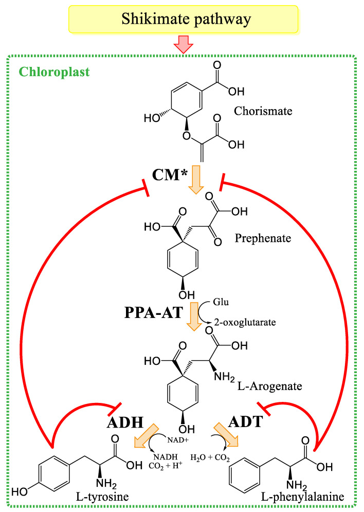 PMC12073235 – plants-14-01372-f003