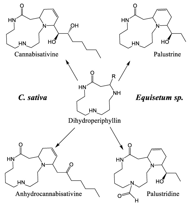 PMC12073235 – plants-14-01372-f007