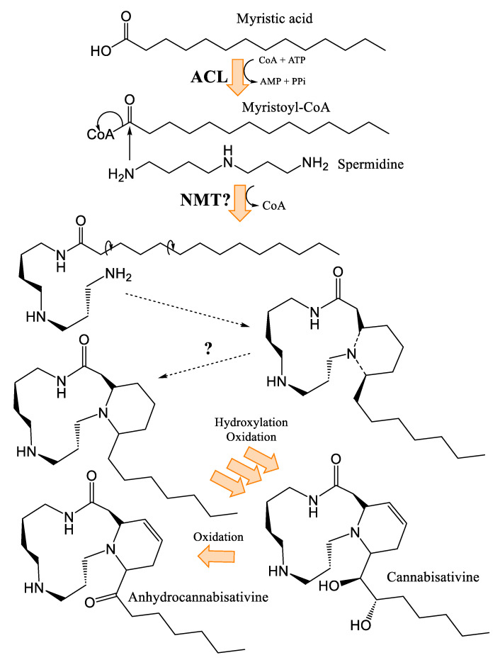 PMC12073235 – plants-14-01372-f009
