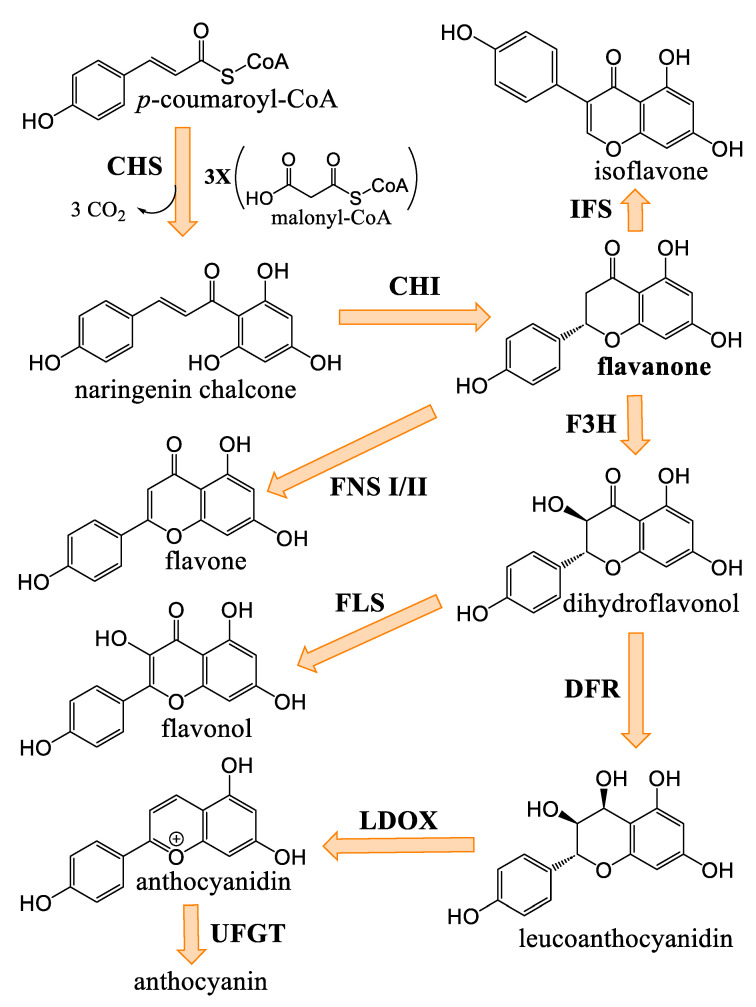 PMC12073235 – plants-14-01372-f011