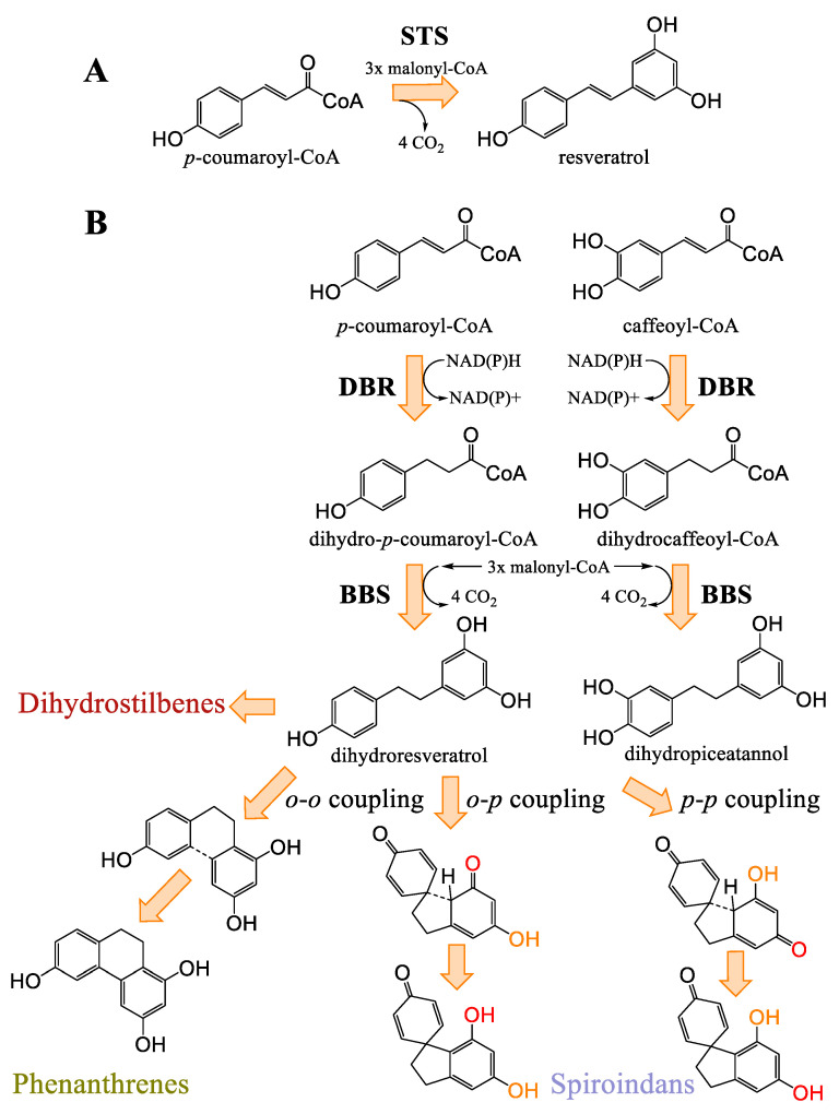 PMC12073235 – plants-14-01372-f014