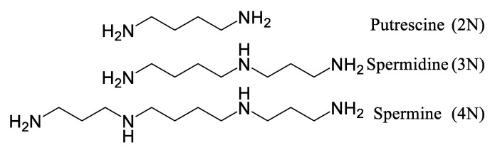 PMC12073235 – plants-14-01372-f015