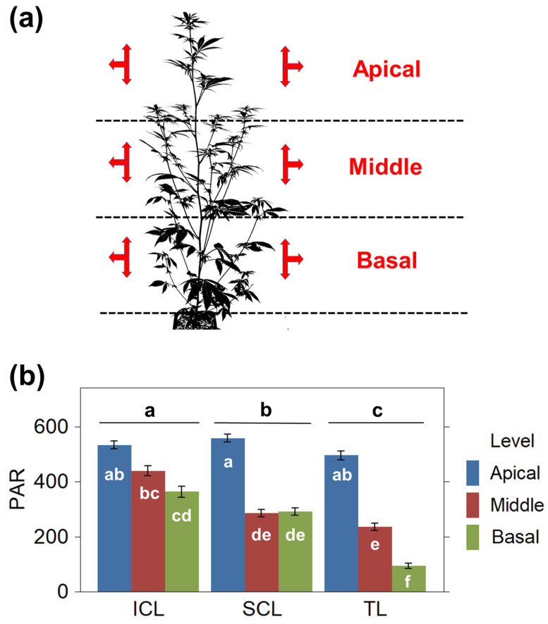 PMC12115249 – plants-14-01469-f001