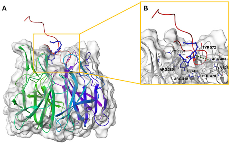 PMC12115228 – plants-14-01473-f006