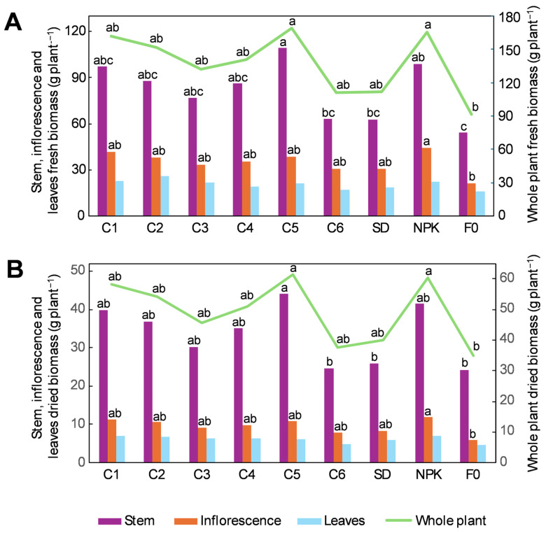 PMC12115201 – plants-14-01519-f001