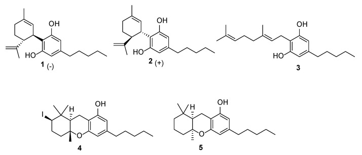 PMC12251955 – plants-14-01901-f001