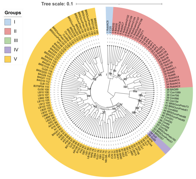 PMC12430741 – plants-14-02781-f001