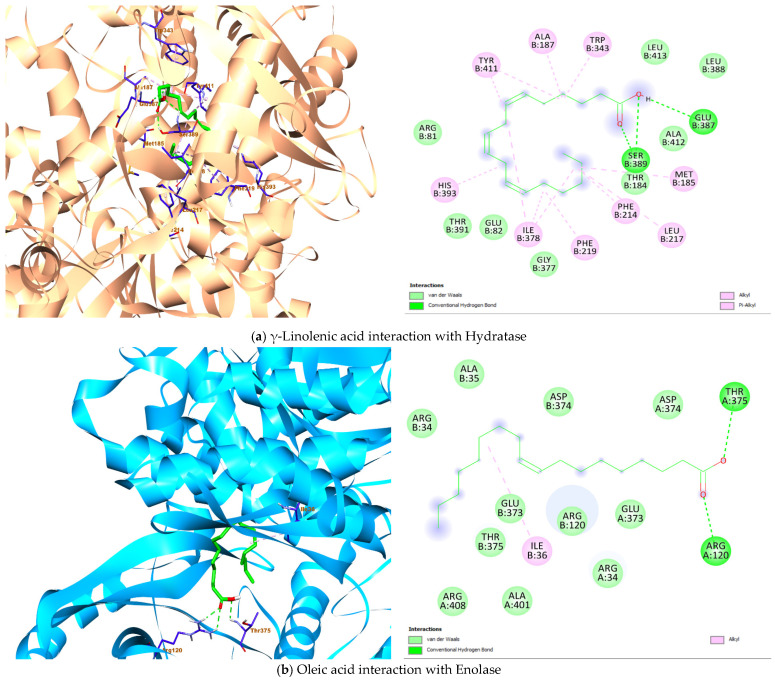PMC12655998 – plants-14-03465-f004
