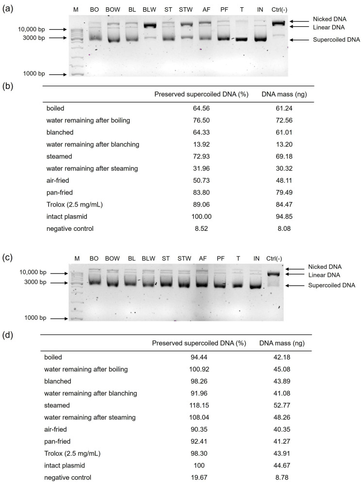 PMC12737114 – plants-14-03808-f001