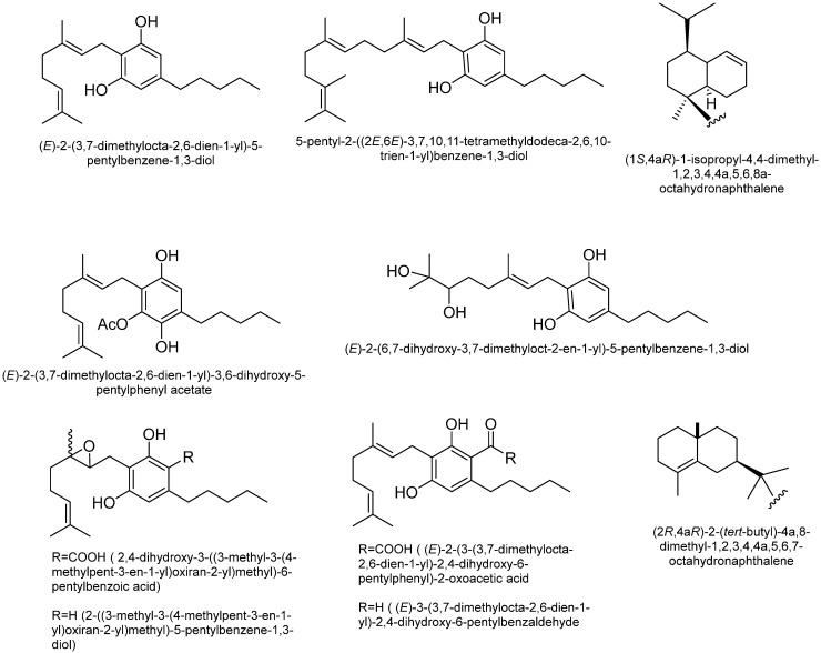 PMC12900019 – plants-15-00473-f005