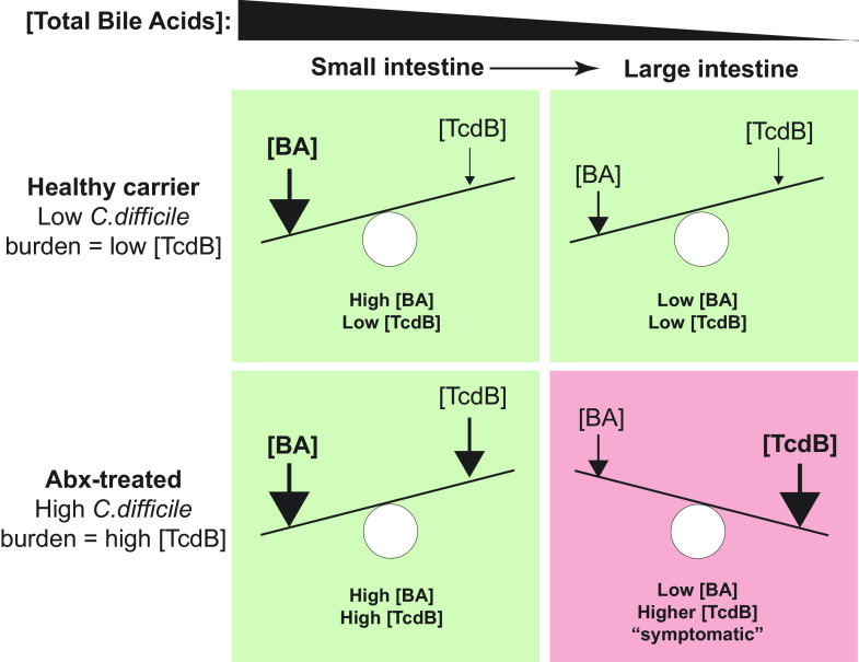 PMC10175849 – fig05