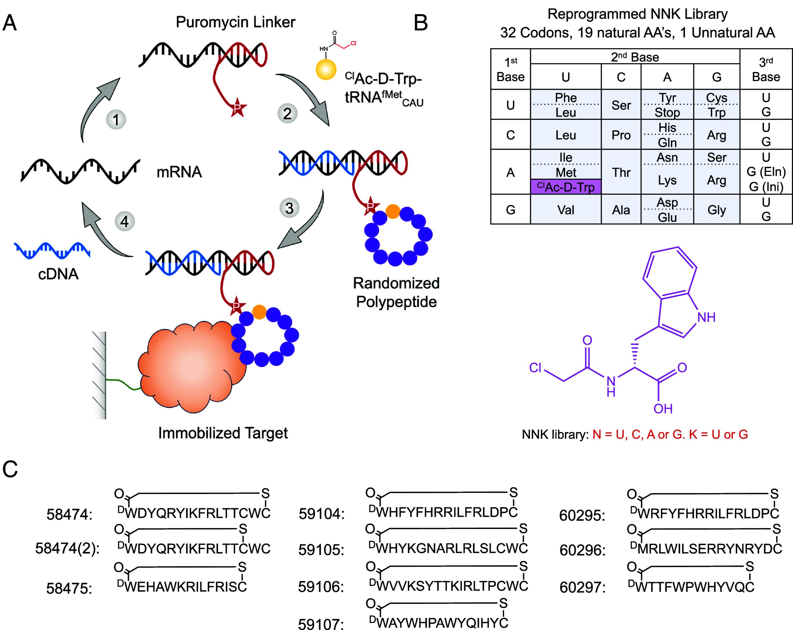 PMC11126973 – fig01