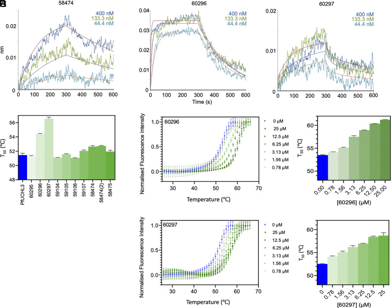 PMC11126973 – fig02