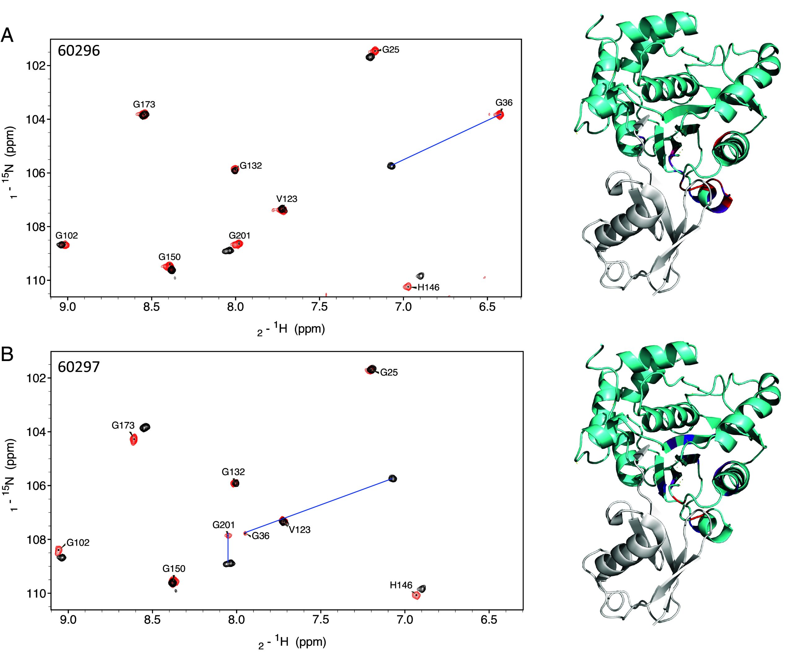PMC11126973 – fig04