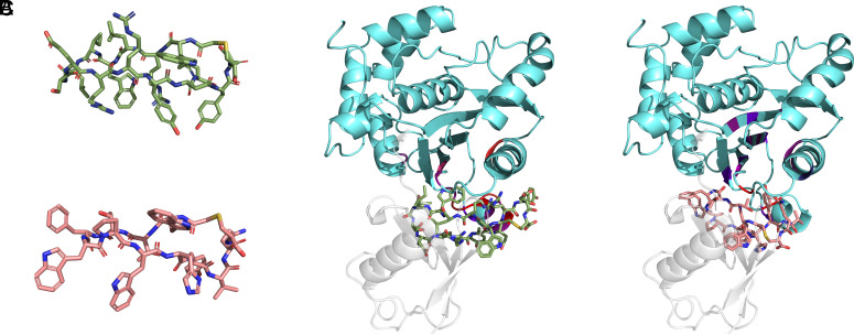 PMC11126973 – fig05