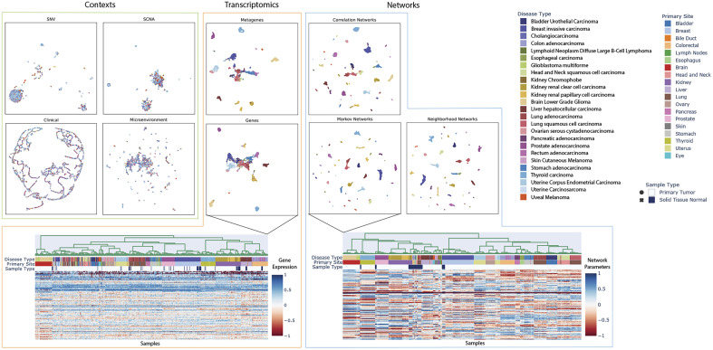 PMC12130817 – fig04