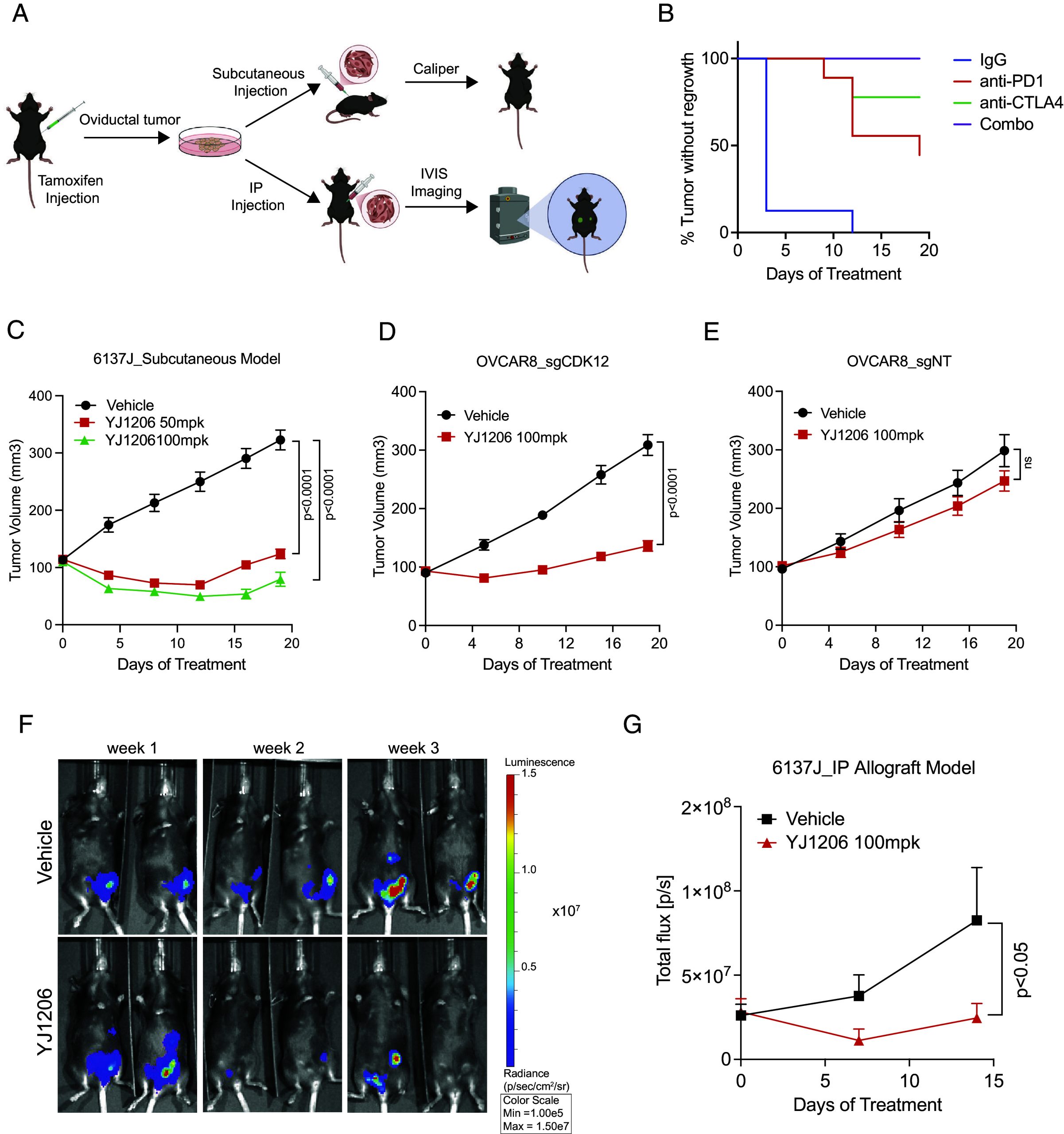 PMC12184368 – fig05