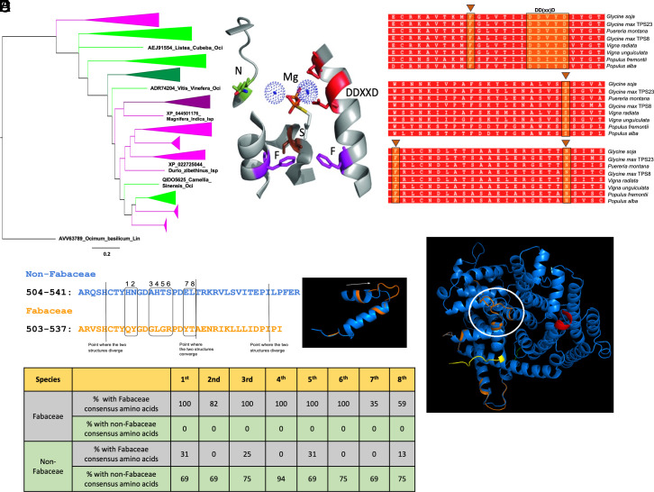 PMC12184331 – fig01
