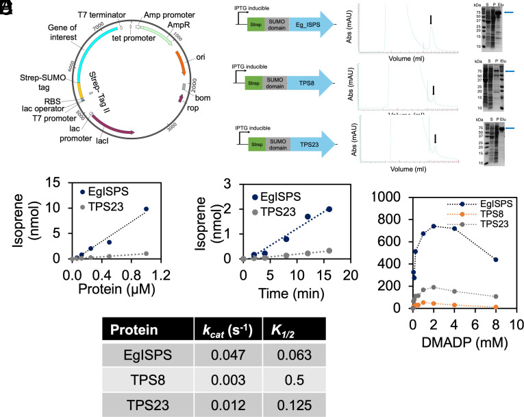 PMC12184331 – fig02