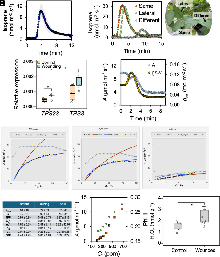 PMC12184331 – fig03