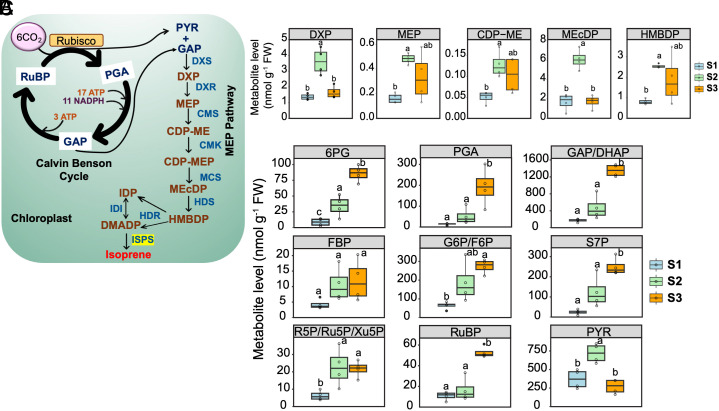 PMC12184331 – fig04