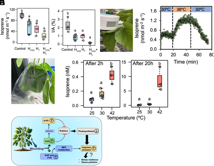 PMC12184331 – fig05