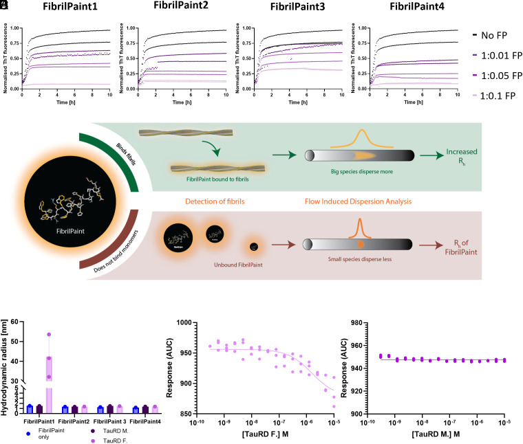 PMC12595476 – fig01