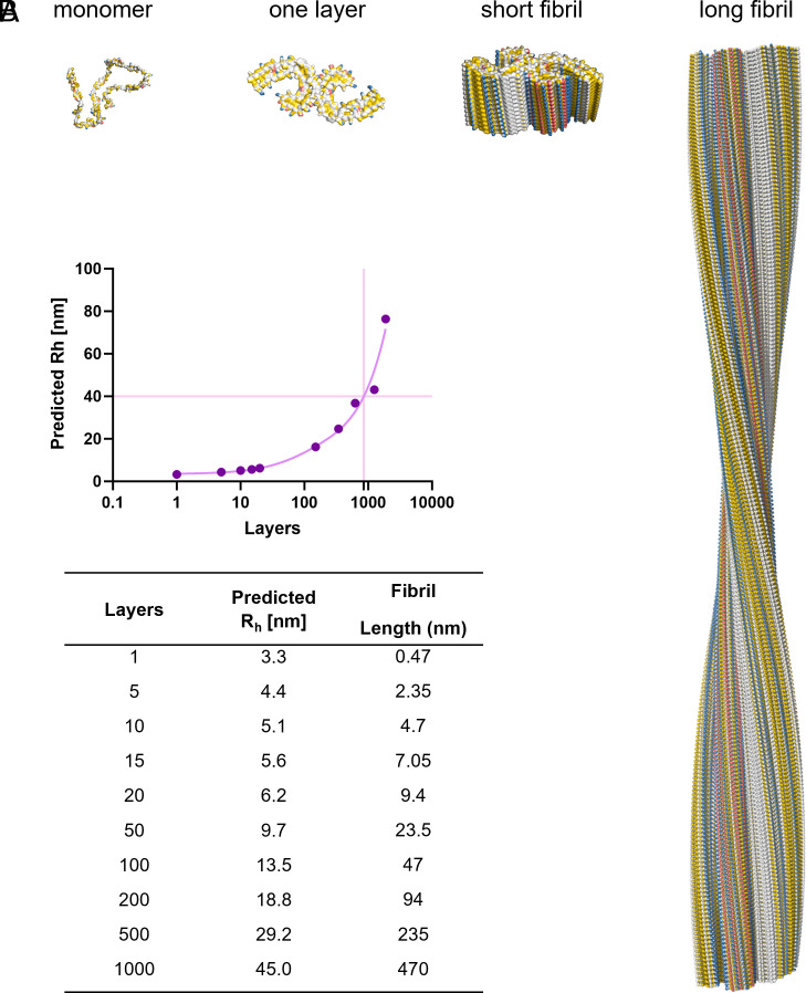 PMC12595476 – fig04