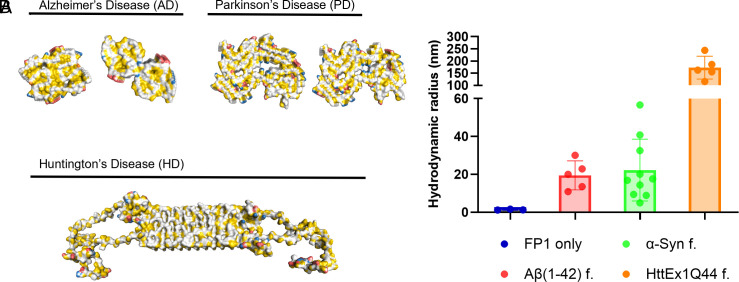 PMC12595476 – fig06