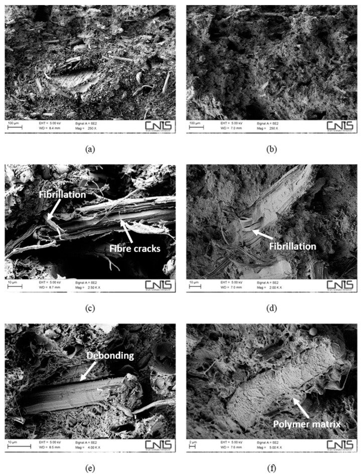 PMC6523148 – polymers-11-00603-f003