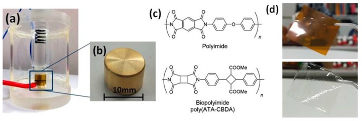 PMC6835271 – polymers-11-01552-f001