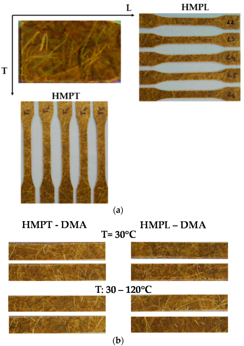 PMC7362192 – polymers-12-01402-f002