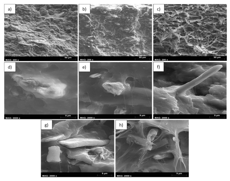 PMC7362229 – polymers-12-01428-f006