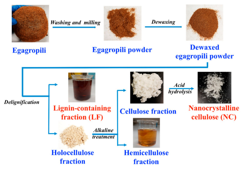 PMC7759934 – polymers-12-02788-f002