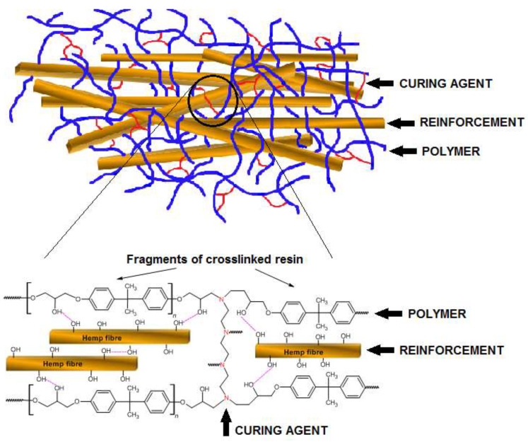 PMC7914908 – polymers-13-00503-f002