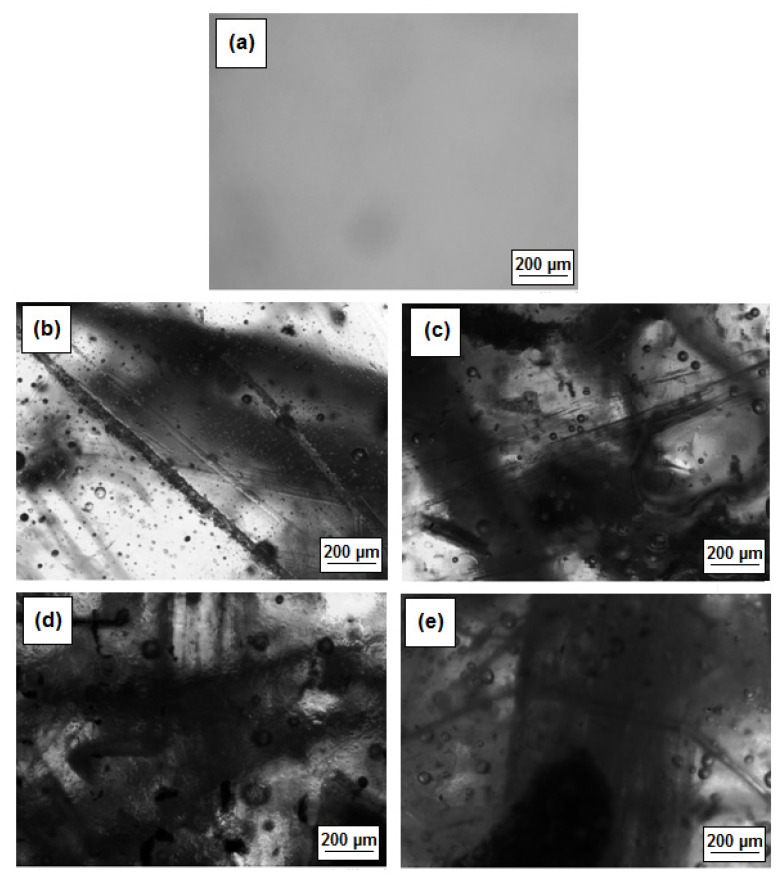 PMC7914908 – polymers-13-00503-f003