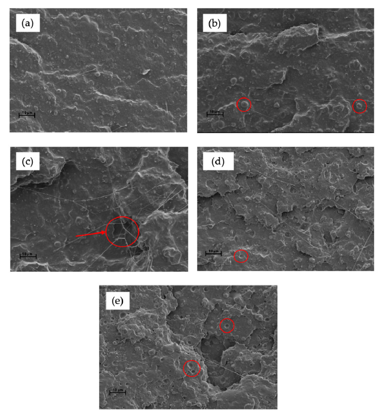 PMC8123297 – polymers-13-01392-f004