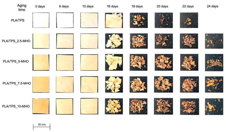 PMC8123297 – polymers-13-01392-f007