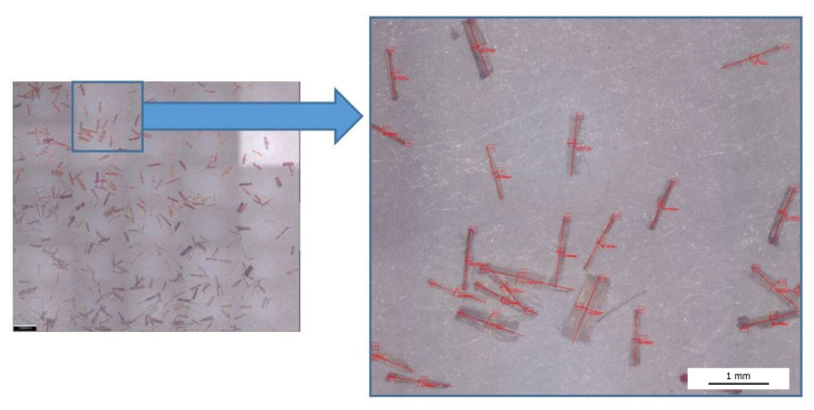 PMC8232267 – polymers-13-01965-f005