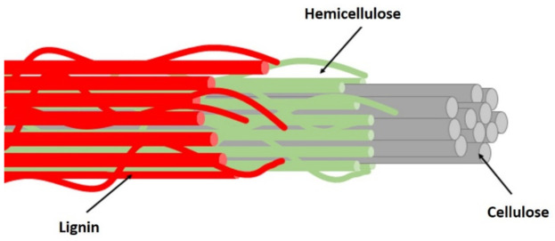 PMC8271713 – polymers-13-02170-f002