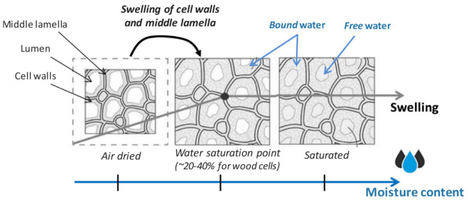 PMC8271713 – polymers-13-02170-f003