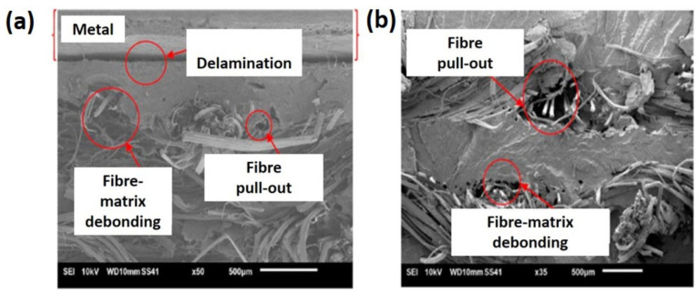 PMC8271713 – polymers-13-02170-f012