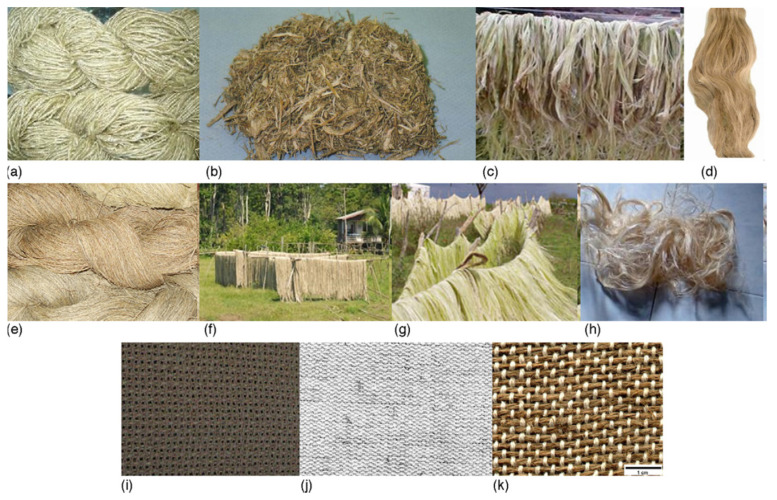 PMC8434032 – polymers-13-02878-f003