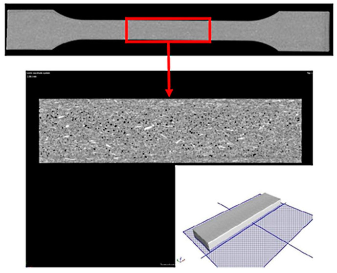PMC8433640 – polymers-13-02942-f001