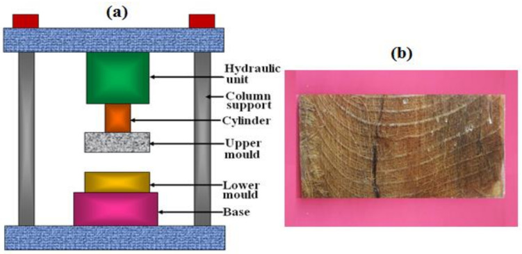 PMC8659549 – polymers-13-04195-f001