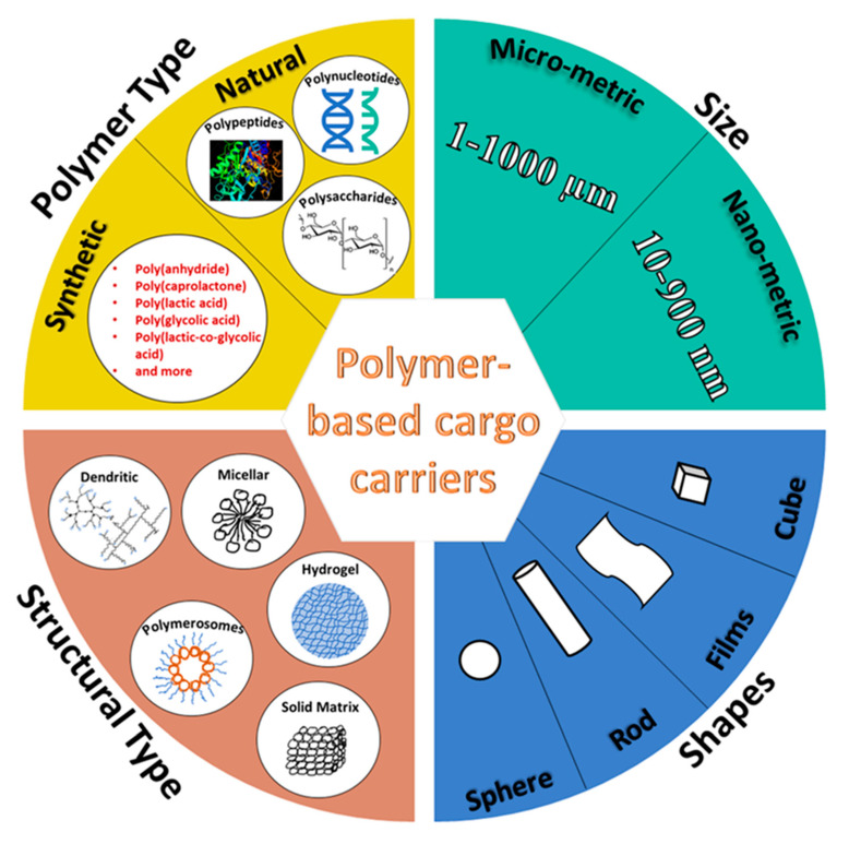 PMC8708131 – polymers-13-04307-f001