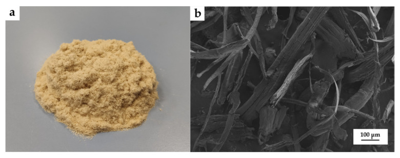 PMC8747228 – polymers-14-00138-f001