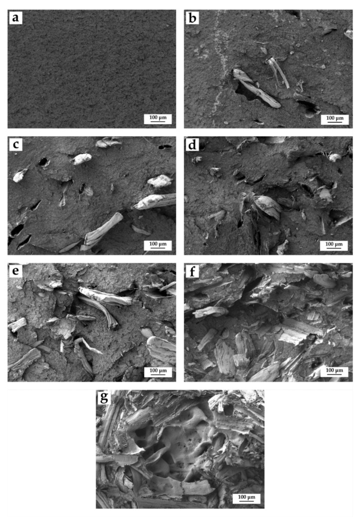 PMC8747228 – polymers-14-00138-f003