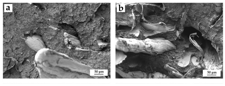 PMC8747228 – polymers-14-00138-f004